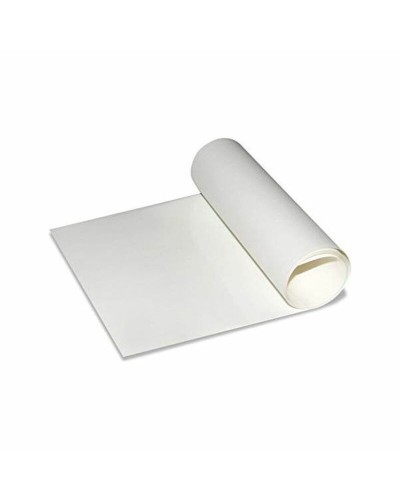 Ark Foliatec FT3411 Skydd Transparent Film (30 x 165 cm)