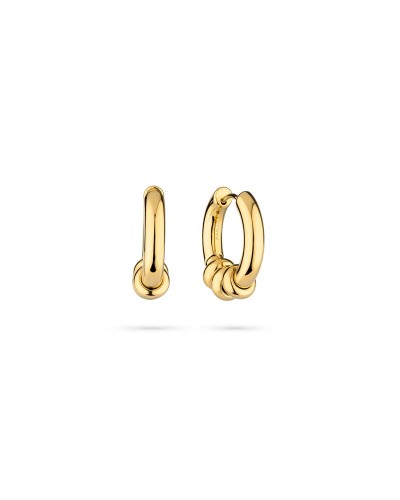 Ladies' Earrings Radiant RY000385 Golden