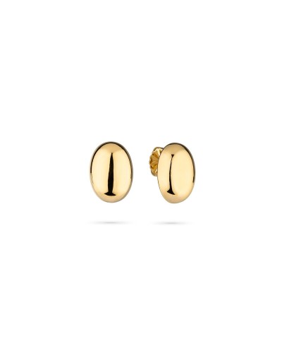Ladies' Earrings Radiant RY000418 Golden