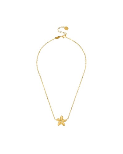 Naisten kaulakorut One Jewels OJPFN02G Kullattu