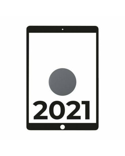 Tablet Apple iPad A13 3 GB RAM 6 GB RAM 256 GB Gris