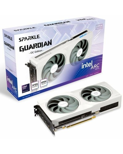 Scheda Grafica Sparkle 1A1-S00430000G 10 GB GDDR6