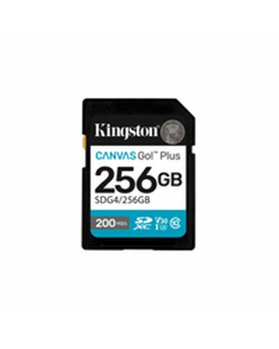Carte Mémoire Micro SD avec Adaptateur Kingston SDG4/256GB 256 GB