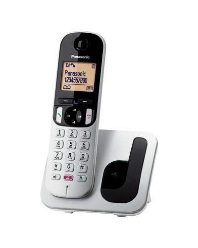 Wireless Phone Panasonic KX-TGC250SPS Grey