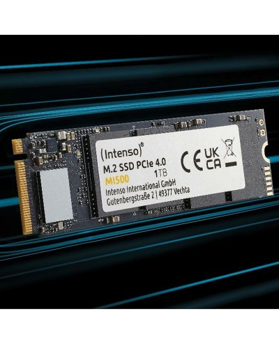Kovalevy INTENSO MI500  1 TB SSD
