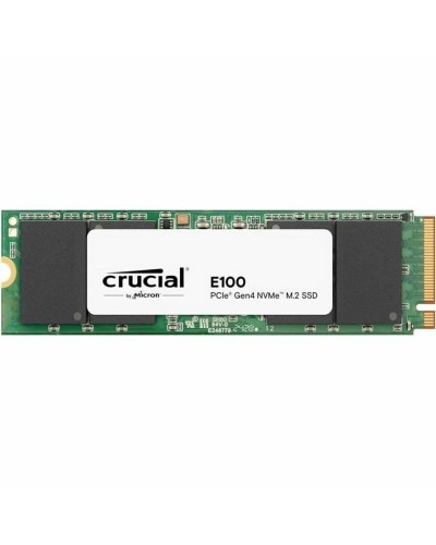 Festplatte Crucial E100 1 TB SSD