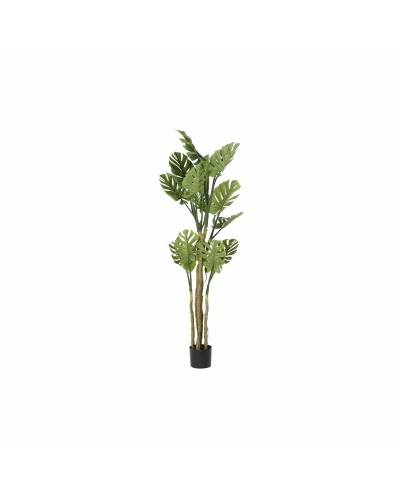 Albero DKD Home Decor Poliestere polipropilene Monstera 75 x 75 x 180 cm