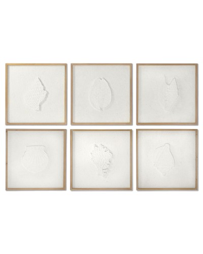 Painting DKD Home Decor Shells 50 x 2 x 50 cm Mediterranean (6 Pieces)