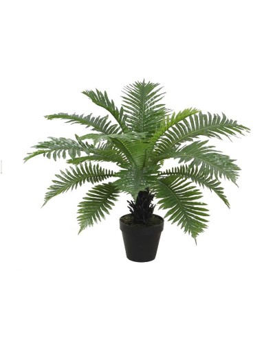 Decorative Plant Home ESPRIT PVC Fern 80 x 80 x 60 cm