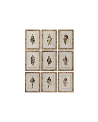 Quadro Home ESPRIT Mediterraneo Conchiglia 30 x 2,5 x 40 cm (9 Unità)