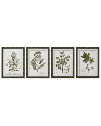 Quadro Home ESPRIT Verde Beige Shabby Chic Piante botaniche 30 x 2,5 x 40 cm (4 Unità)