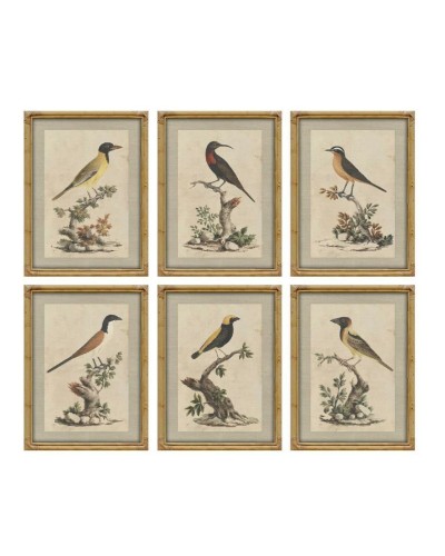 Cadre Home ESPRIT Beige Oiseau Shabby Chic 45 x 3 x 60 cm (6 Unités)