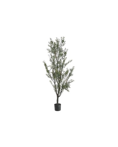 Albero Home ESPRIT Polietilene Ulivo