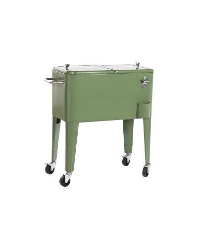 Frigo Portatile DKD Home Decor 74 x 43 x 80 cm Acciaio Verde polipropilene 56 L