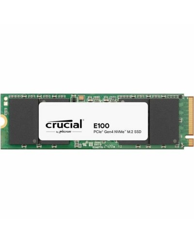 Festplatte Crucial Crucial E100 480 GB SSD