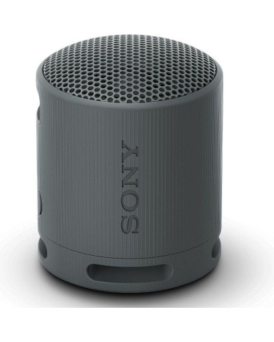 Haut-parleurs bluetooth Sony SRSXB100B Noir
