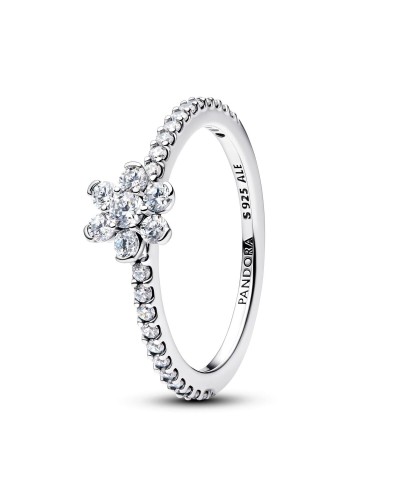 Ring Dames Pandora 194499C01-54 Zilverkleurig 14