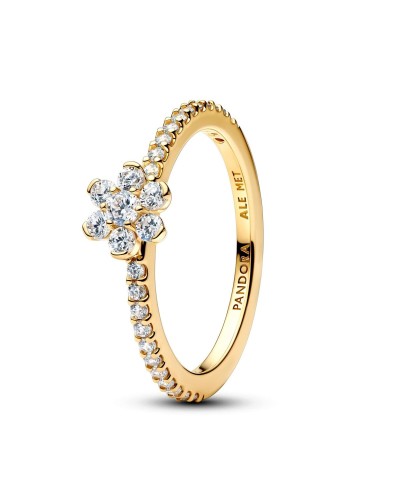 Anello Donna Pandora 164499C01-54 Dorato 14