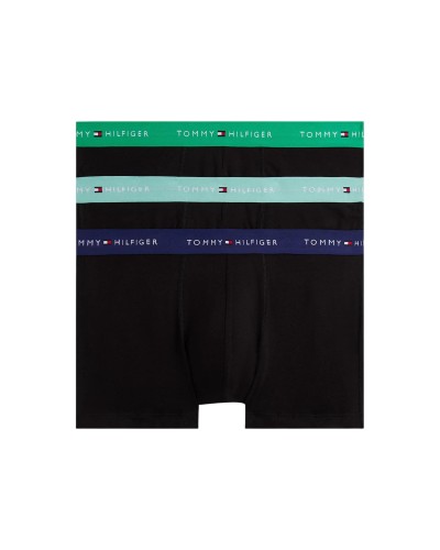 Tommy Hilfiger Alusasu Miehet