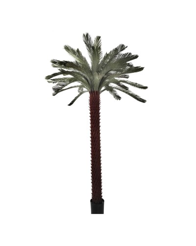 Decorative Plant Home ESPRIT Polyethylene Palm tree