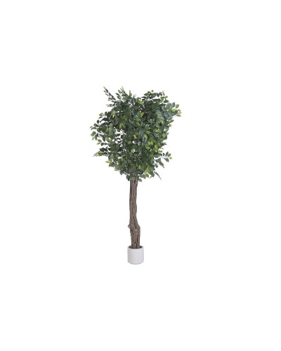 Albero Home ESPRIT Poliestere Legno Fico del Bengala