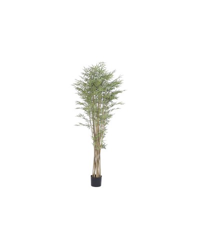 Decoratieve plant Home ESPRIT Hout Polyethyleen Orientaals