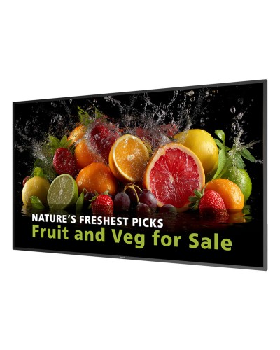 Moniteur Videowall Philips 65BDL5050D/00 Full HD 65"