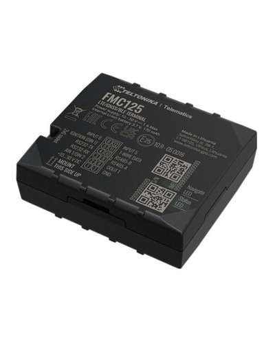 Localisateur GPS Teltonika