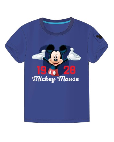 Figure Mickey Mouse Only one