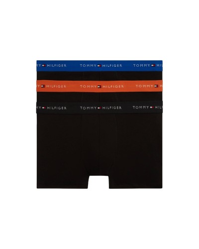 Tommy Hilfiger Alusasu Miehet