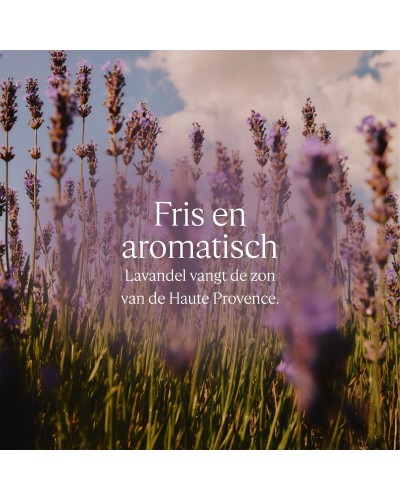 Duschgel L'Occitane En Provence KARITÉ CONFORT 500 ml