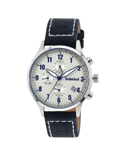 Men's Watch Timberland TBL15335JS07