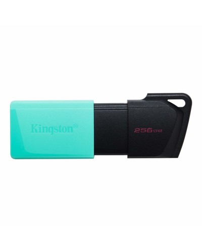 USB-minne Kingston Exodia M Svart 256 GB