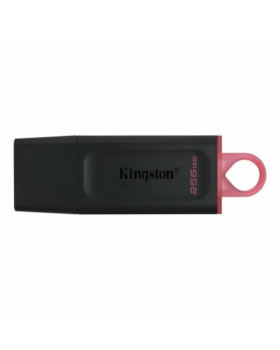 Clé USB Kingston Exodia Rose 256 GB