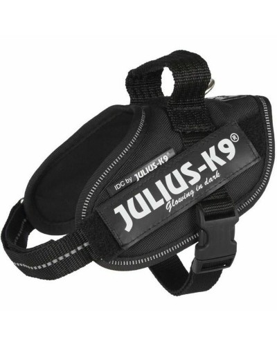 Hundsele Julius K9 IDC Svart