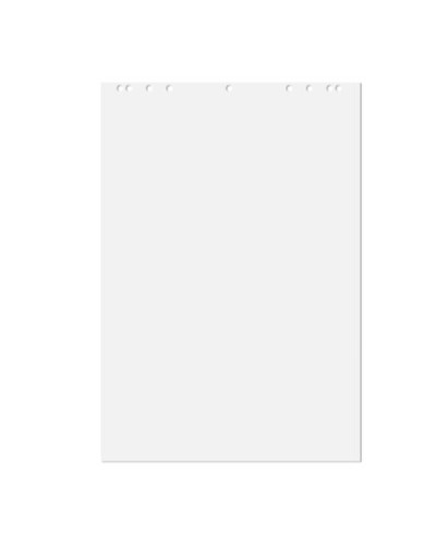 5 White Flipchart Pads