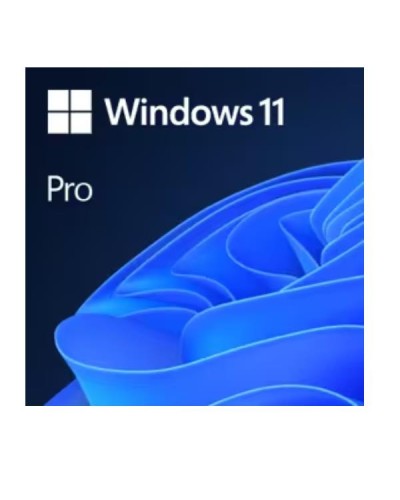 WIN11 PRO N CHARITY