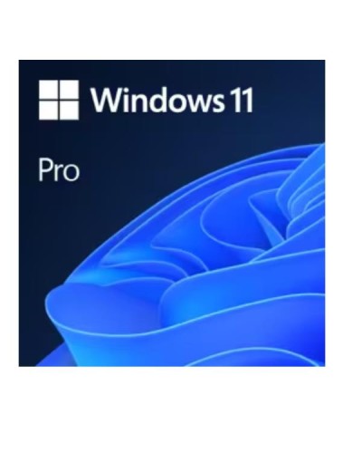 WIN11 PRO N UPGRADE EDU