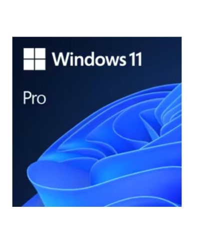 WIN11 PRO UPGRADE