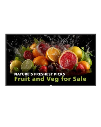 Philips 55" UHD 24/7 600 Nits D-Line Signage Monitor