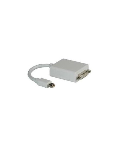 NILOX TECH Mini DisplayPort to DVI-D Adapter 10cm