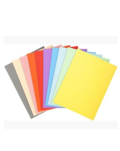 FOREVER A4 Folders 220 gr 100 pcs assorted colors