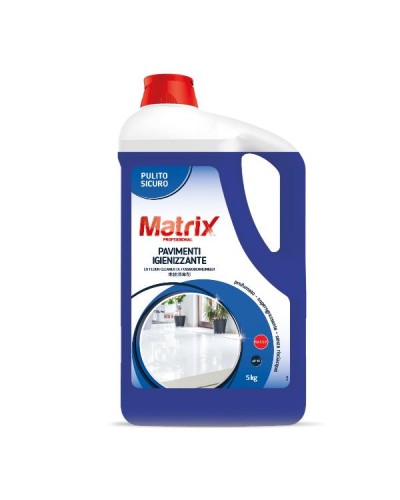 PAVIMENTI IGIENIZZ 5KG CONF.2