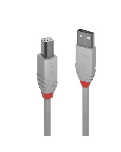 Cavo USB 2.0 Tipo A a B Anthra Line