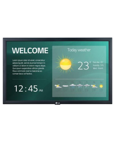 22 LED IPS 1920X1080 16:9 250