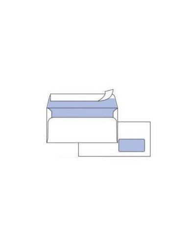 CF500 BUSTE EDERA C/FIN 11X23CM