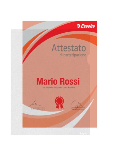 CF25BUSTE L OFFICE ANTIRIFL A4