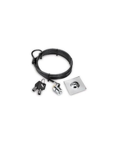 XNBTLOCK20K Cavo 200 cm con Piastra Metallo