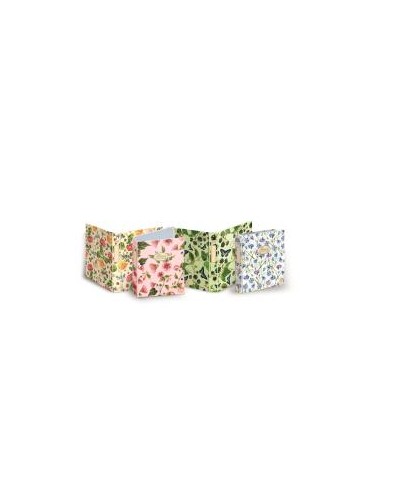 CF5CARTELLA ANELL NATURE FLOWERS A4