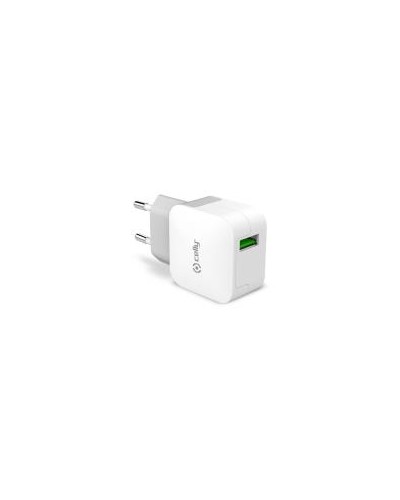TCUSBTURBO - 12W USB-A Wall Charger [TURBO]
